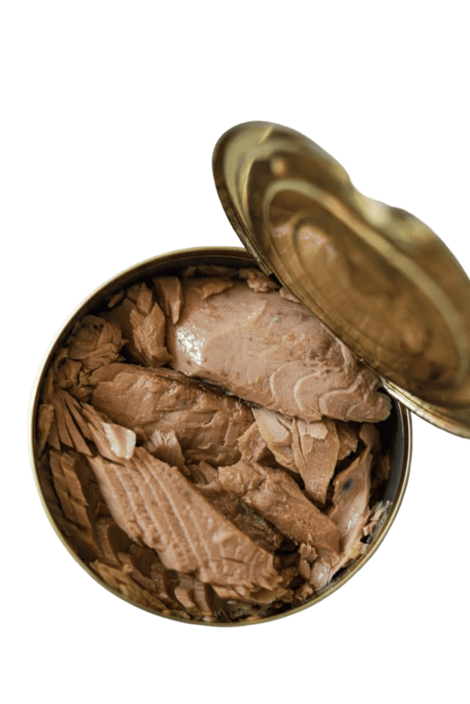 Garlic Tuna